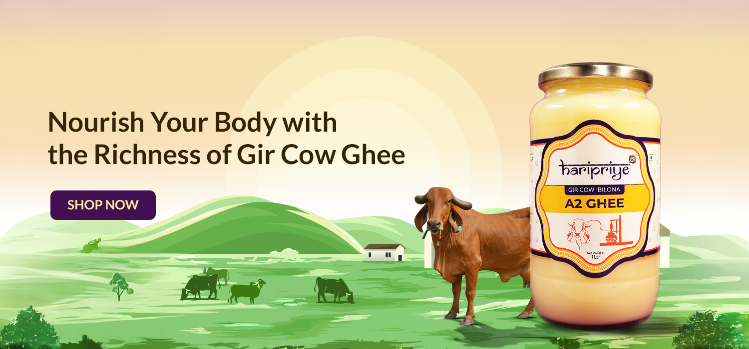 Organic Ghee Online | Pure Desi Cow Ghee India - HariPriye