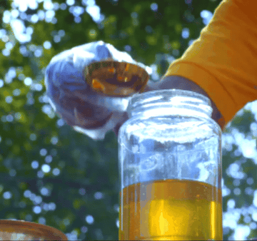 Pure A2 Ghee: The Ultimate Fitness Superfood